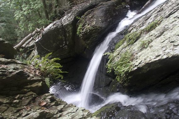 Top of the Lower Falls