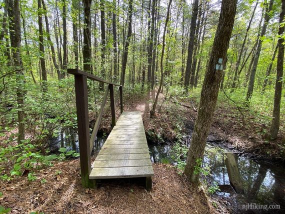 Bridge at start of BLUE trail.