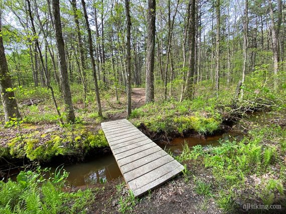 Wooden trail bridge over a small stream.