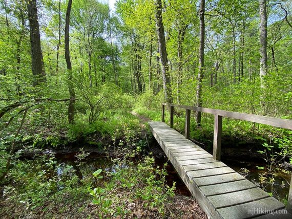 Long wooden bridge over a stream.