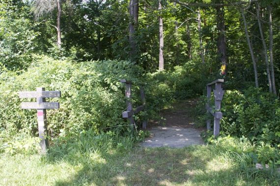 Trail signs next to a wooden footbridge