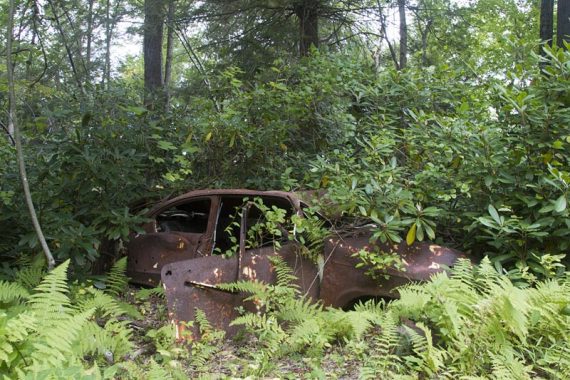 It's not hiking in Jersey until there is a abandoned car along the trail.