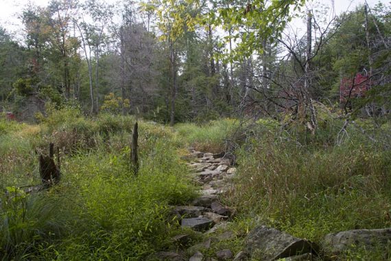 Nature Jim's Bridge on the Red Dot trail