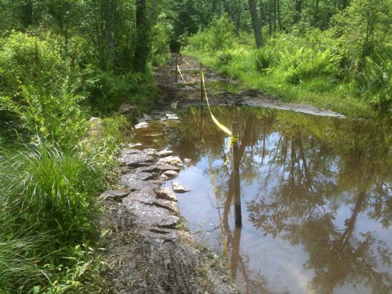 Looking back from the middle of the large wet area.