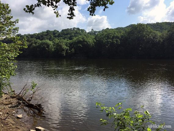 View of the Delaware River from Theodore Roosevelt Rec Area