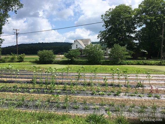 D&L canal passes farms