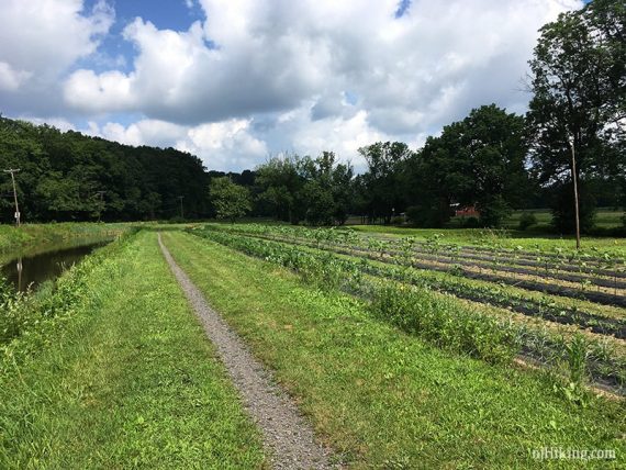 D&L canal passing by farms.