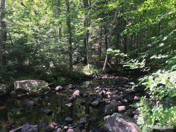 Stream.