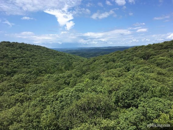 Expansive viewpoint of green trees on hills.