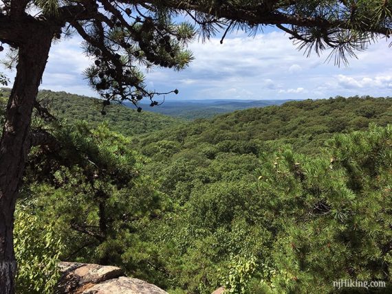 View of green hills with a tree on the left.