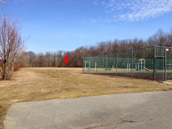 Ireland Brook trailhead, across field