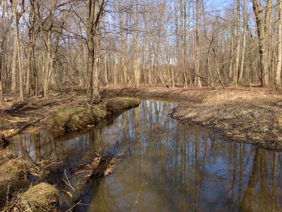 Ireland Brook trail comes to... Ireland Brook.