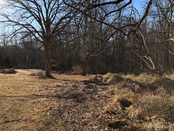 Mulched path.
