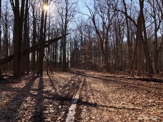 Wide pipeline trail.
