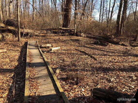 Boardwalk trail.