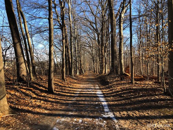 Trolley trail.