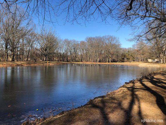 Pond at Institute for Advanced Study.