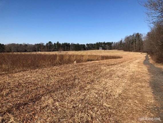 Gravel path in along Princeton Battlefield.