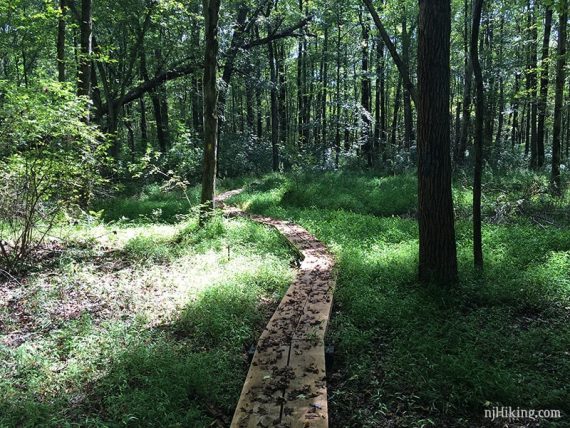 Long boardwalk on the Ireland Brook trail.