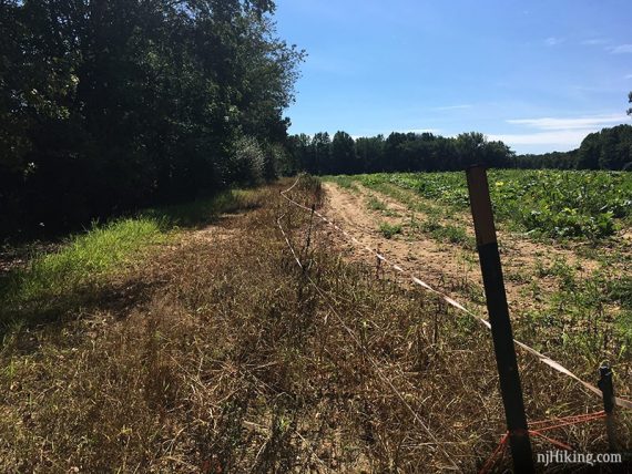 Trail running next to a fenced field.