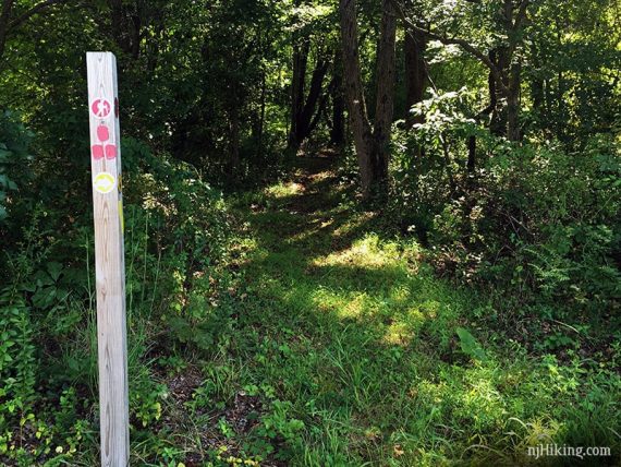 Pseudacris trailhead with wooden post.