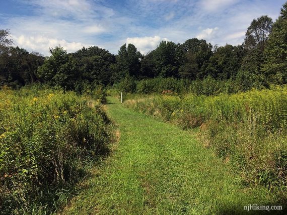 Mowed trail through fields