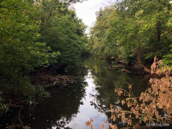 View from the swinging bridge.