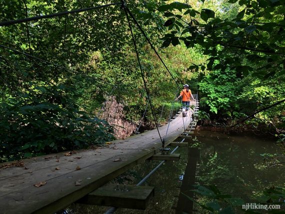 Crossing back over the swinging bridge at Institute Woods.