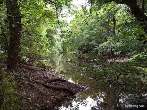 Stony Brook.