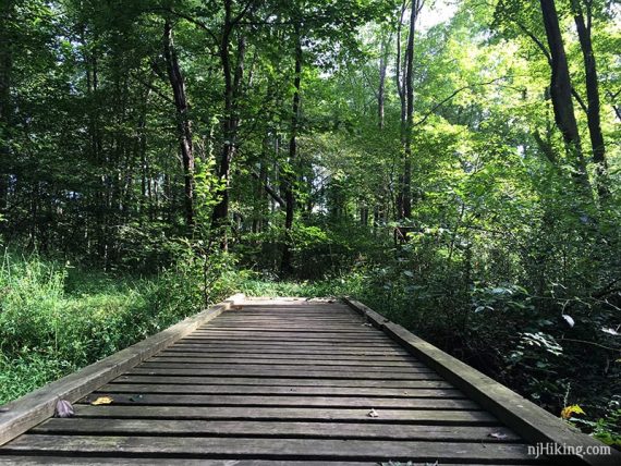 Boardwalk in Institute Woods.