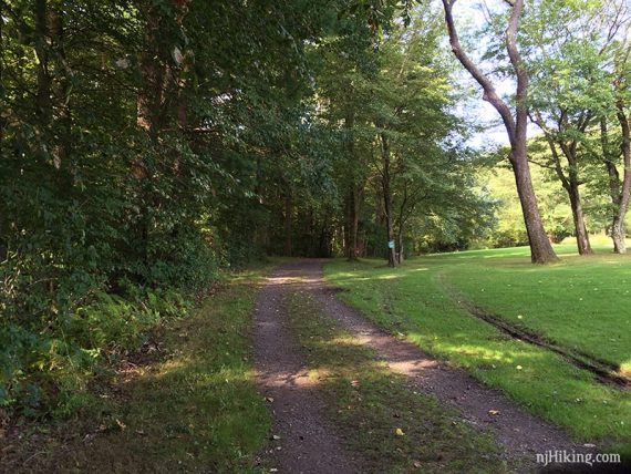 Trolley Track trail in Institute Woods.