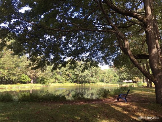 Pond on the grounds of Institute Woods.