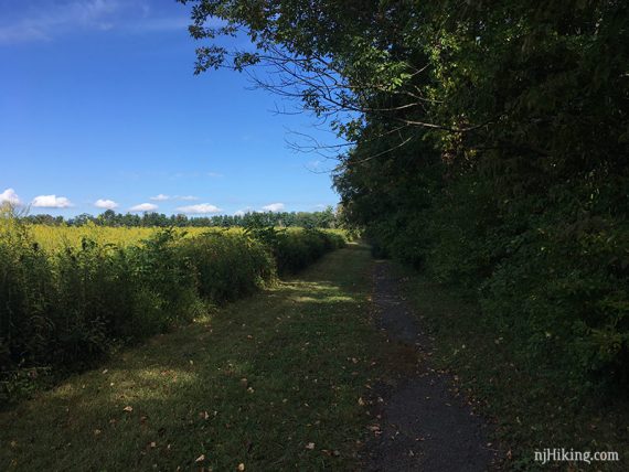 Walk along a field in Princeton Battlefield S.P.