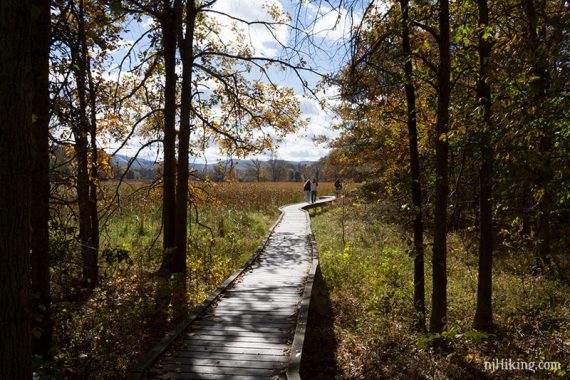 Hikers on the Pochuck Boardwalk with trees around.