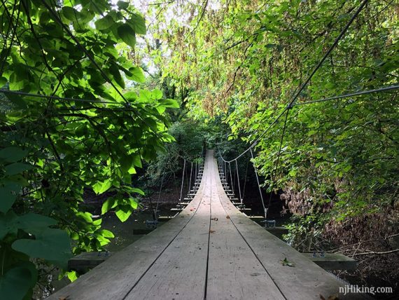 Swinging Bridge Institute Woods.
