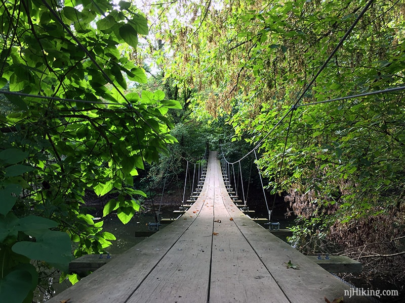 Hiking to the Swinging Bridge in Princeton, New Jersey