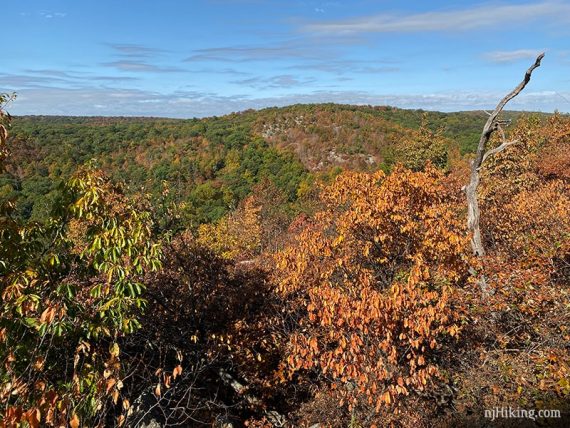 View from Hewitt-Butler Trail