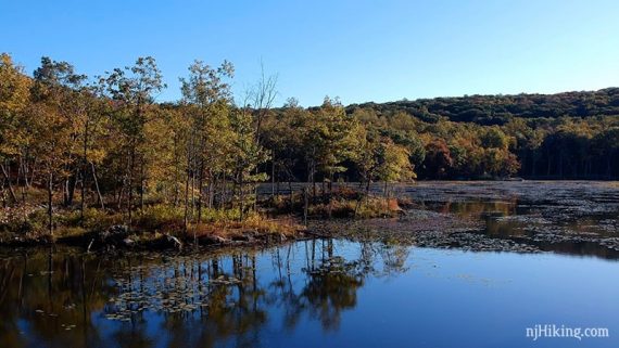 Apshawa Preserve near the yellow trail.