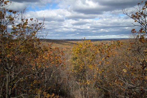 Rolling hills covered in fall foliage with trees in the foreground.