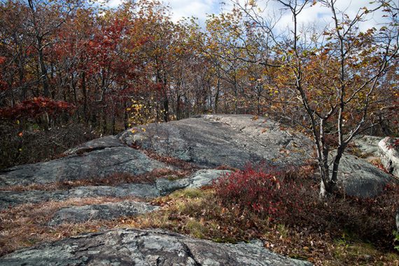 Large rock outcrop surrounded by fall foliage.