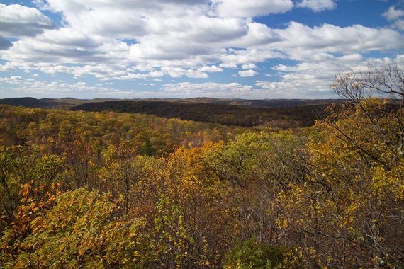 Expansive views along Hewitt Butler trail.