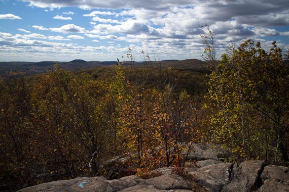 Rolling hills seen in the distance from a hiking viewpoint.