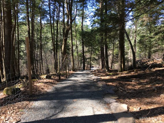 Trail starts out flat and paved.