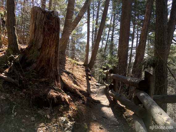 Dirt trail along a fence that leads to the Middle Falls overlook.