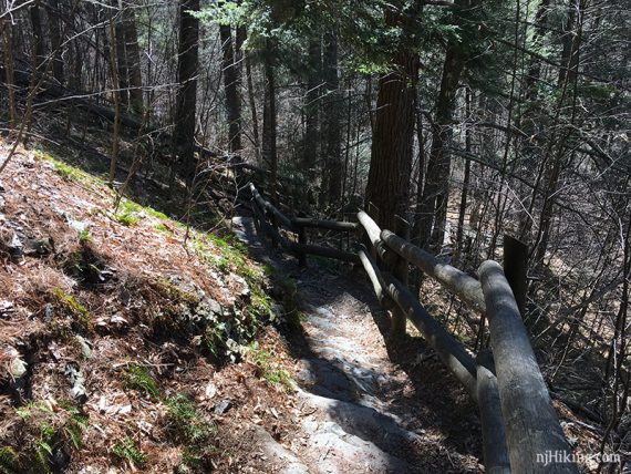 Trail to the Middle Falls heads downhill over a rough surface.