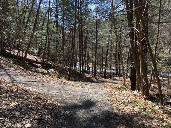 Wide flat trail approaching creek level.