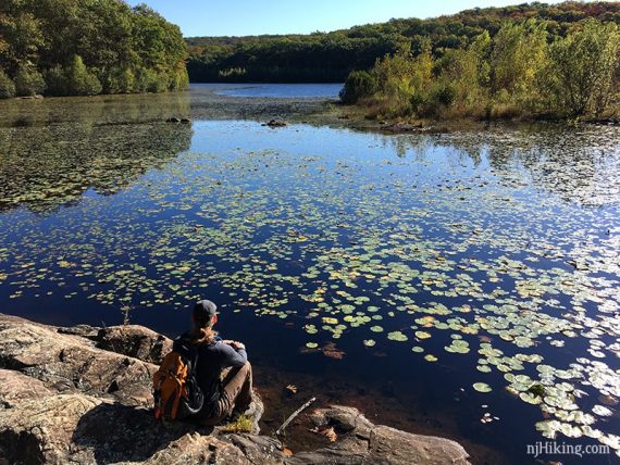 Apshawa rock outcrop and lily pads