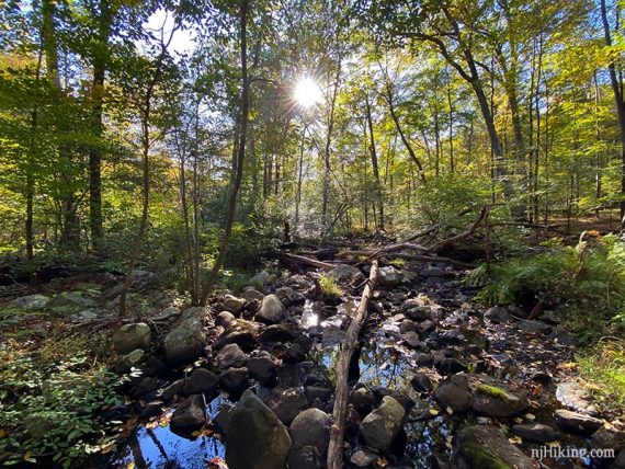 Stream filled with rocks.