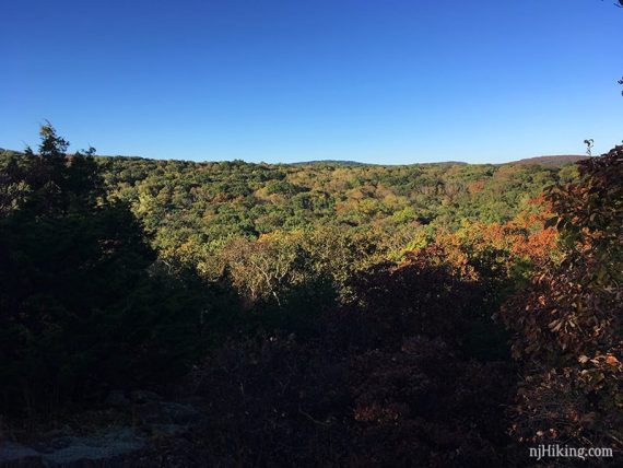 Limited overlook on white trail.