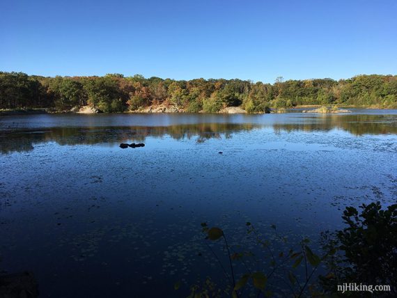 View of Butler Reservoir.